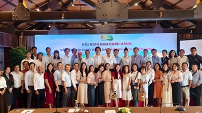 Hợp nhất hiệp hội Du lịch Đà Nẵng và Quảng Nam