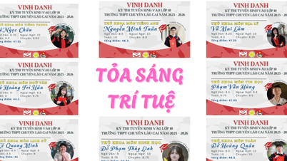 Tỏa sáng trí tuệ