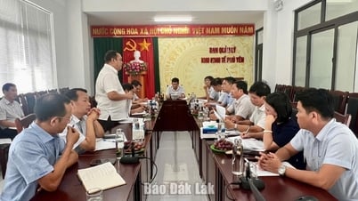 Đẩy nhanh tiến độ giải phóng mặt bằng các dự án trong Khu kinh tế Nam Phú Yên