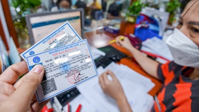Người tham gia bảo hiểm y tế sẽ được hoàn trả tiền khi nào?