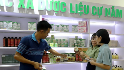Sản phẩm OCOP: Sân chơi lớn... thách thức nhiều!