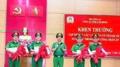 Lâm Đồng khen thưởng đột xuất nhiều tập thể, cá nhân xuất sắc trong đấu tranh, trấn áp tội phạm