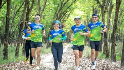 Tây Ninh tổ chức giải chạy marathon đạt chuẩn quốc tế có quy mô lớn nhất từ trước đến nay