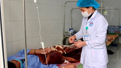 Sau hợp nhất, Sở Y tế TP Hải Phòng có 63 đơn vị sự nghiệp trực thuộc