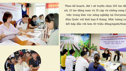 Lào Cai: Trao cơ hội – Kiến tạo tương lai tốt đẹp hơn cho người lao động