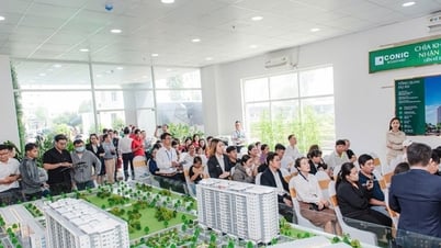 Cung - cầu căn hộ đều tăng đột biến