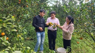 Tổng nguồn vốn các chương trình tín dụng chính sách xã hội đạt hơn 5.021 tỷ đồng - Báo Cao Bằng điện tử