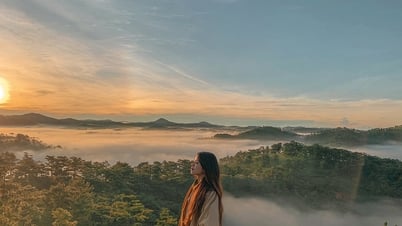Đồi chè Cầu Đất và những địa điểm du lịch Đà Lạt "săn mây" cực đỉnh