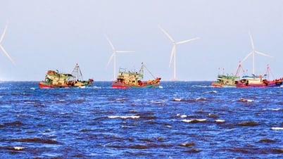 Nơi hội tụ nhiều “rồng” ra biển