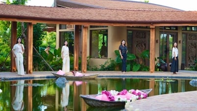 Sen - hành trình hội họa thơ mộng trên nền lụa và giấy dó