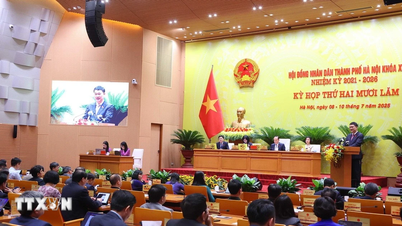 Cử tri Hà Nội chất vấn về thực hiện quy định an toàn thực phẩm