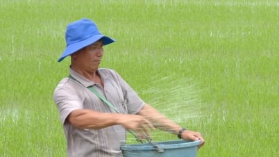 Nông dân Cà Mau lo lắng trước “bão giá” vật tư nông nghiệp