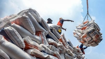 Giá gạo tại Nhật Bản tăng, cơ hội cho hàng Việt
