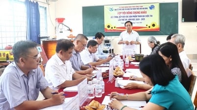 Xét chọn và xếp giải Cuộc thi Sáng tạo thanh thiếu niên nhi đồng lần thứ XIV