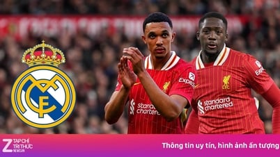 Thêm cầu thủ Liverpool sắp sang Real dưới dạng 0 đồng