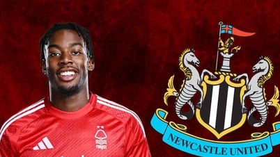 Newcastle mua Elanga giá kỷ lục, MU hưởng lợi lớn