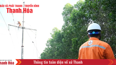 Khắc phục nhanh nhất sự cố, cấp điện trở lại trên đường dây 110kV Nông Cống - Nghi Sơn