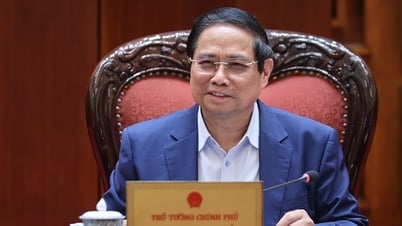 Thường trực Chính phủ cho ý kiến về 2 dự án luật và đề xuất chương trình lập pháp 2026