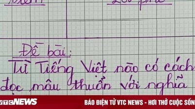Từ Tiếng Việt nào đọc nghe 'khờ' nhưng nghĩa thông minh?