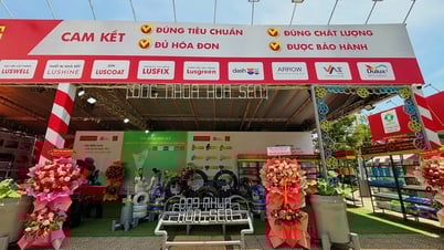ỐNG NHỰA HOA SEN VÀ HÀNH TRÌNH XUÔI VỀ MIỀN TRUNG ĐỒNG HÀNH CÙNG MÁI ẤM GIA ĐÌNH VIỆT