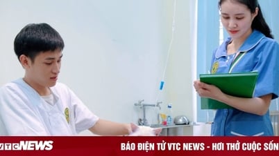 Học phí các trường ngành Thú y 2025