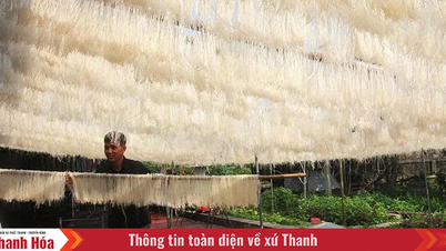 Làm mới sản phẩm OCOP để chiếm lĩnh thị trường