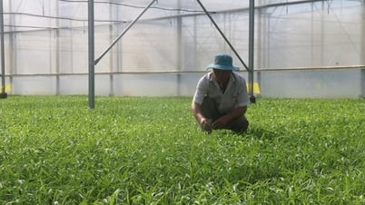 Continuar eximiendo el impuesto sobre el uso de tierras agrícolas hasta finales de 2030