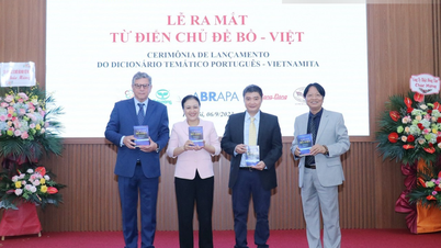 Quan hệ Việt Nam - Brazil: Gắn bó, thực chất từ nền tảng nhân dân
