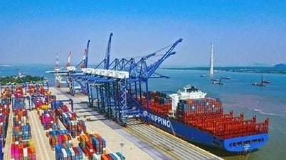 Chấp thuận chủ trương đầu tư xây dựng 04 bến cảng container mới tại Hải Phòng