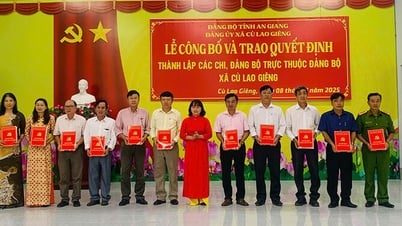 Đảng ủy xã Cù Lao Giêng công bố và trao quyết định thành lập các chi, Đảng bộ trực thuộc