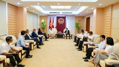 وزارة العلوم والتكنولوجيا وجمعية الأفلام الأمريكية تتبادلان الخبرات بشأن الذكاء الاصطناعي وحماية حقوق النشر للمحتوى الرقمي