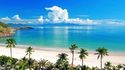 Điểm danh top 7 bãi biển Đà Nẵng-Thiên Đường Sống Ảo, Chill Quên Lối Về!