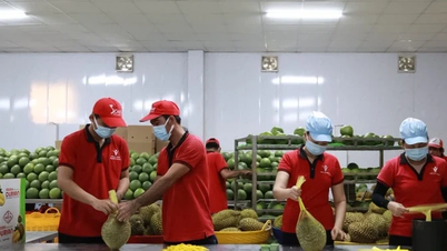 Xuất khẩu nông sản hướng tới mục tiêu 70 tỷ USD