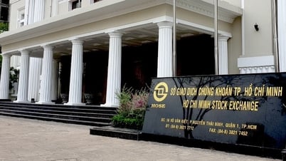Văn bản chi cổ tức bị làm giả, HoSE ra cảnh báo về tài khoản 'Người Hải Phòng'