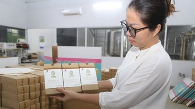 Biến vỏ cà phê thành trà hảo hạng xuất khẩu