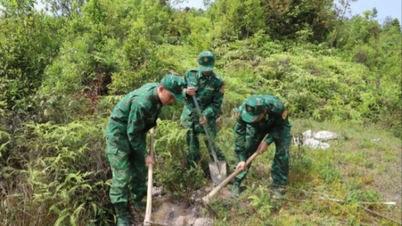 Tuyên Quang có tỷ lệ che phủ rừng đứng thứ 3 cả nước