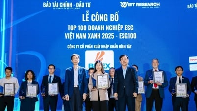 BITEX được vinh danh “Top 100 doanh nghiệp ESG Việt Nam xanh 2025”