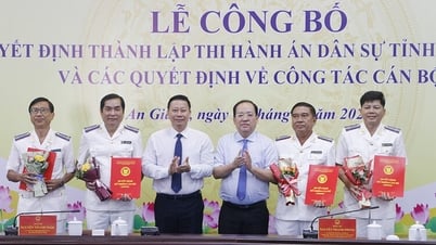 Thành lập Thi hành án dân sự tỉnh An Giang