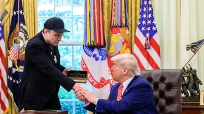 Cổ phiếu Tesla giảm 8% sau khi Elon Musk tuyên bố thành lập Đảng nước Mỹ