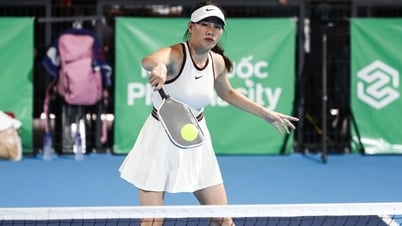Hướng dẫn cách vận động viên tìm ảnh ở giải pickleball báo Dân trí