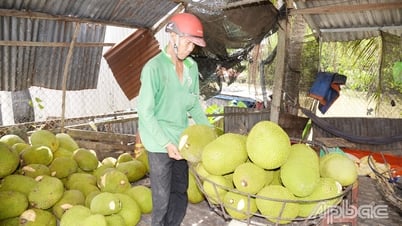 Phập phồng với giá nông sản