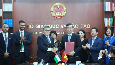Hợp tác giáo dục Việt Nam - Palestine đang phát triển tốt đẹp