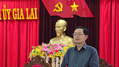Thành lập bộ máy phụ trách địa bàn tỉnh Gia Lai cơ sở 2