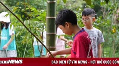 Chi 8 - 9 triệu đồng gửi con đi trại hè, cha mẹ nhận về nước mắt và nỗi ám ảnh