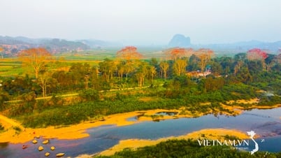Rực Trời Hoa Gạo ở Tam Sơn, Nghệ An