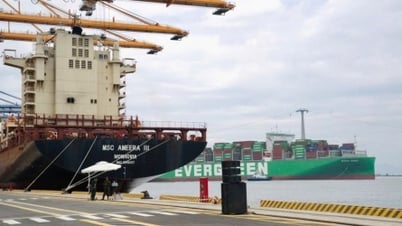Prime Minister approves investment policy for 4 Lach Huyen ports with capital of 24,846 billion VND