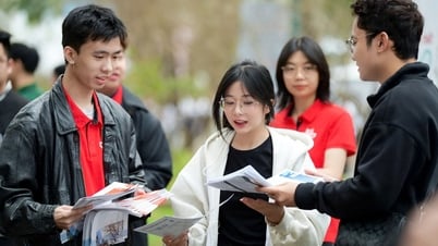 Tuyển sinh đại học 2025: Chưa chọn được ngành, phải làm sao?