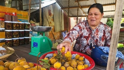 Về An Giang thưởng thức trái gùi