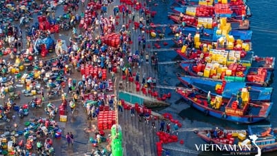 Nhộn nhịp chợ cá Cửa Lò