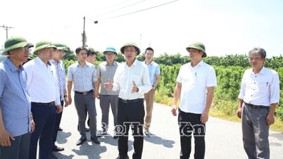 Phó Chủ tịch UBND tỉnh Nguyễn Hùng Nam kiểm tra tình hình triển khai Dự án khu phức hợp đô thị, du lịch sinh thái và sân golf Khoái Châu